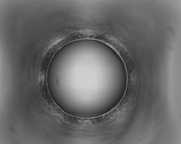 X0000110731302200906191518