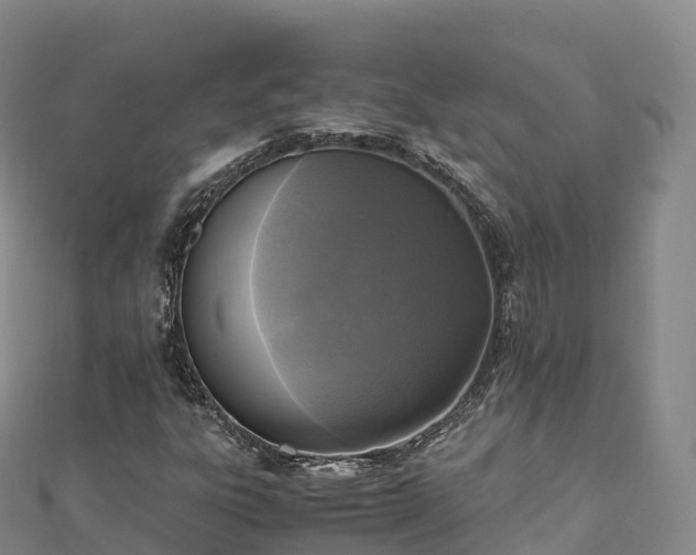 X0000110731303200906191518