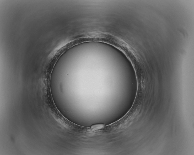 X0000110731304200906191518