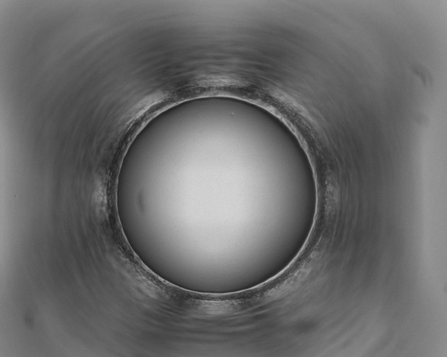 X0000110731305200906191518
