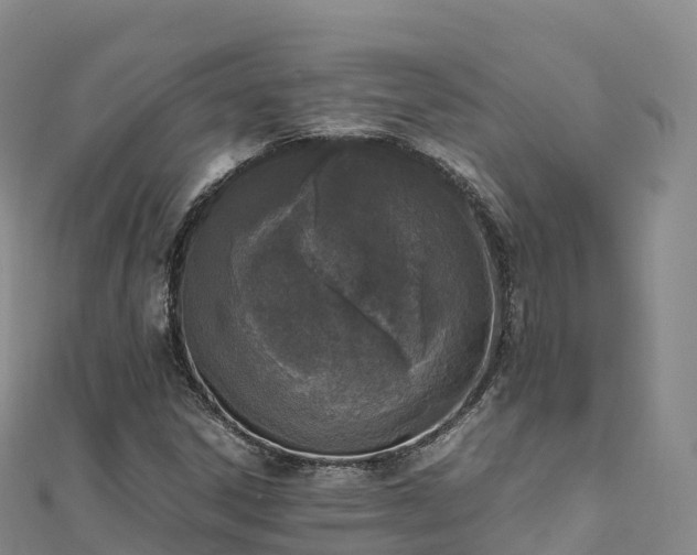 X0000110731306200906191518