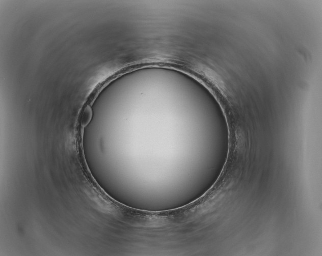 X0000110731308200906191518