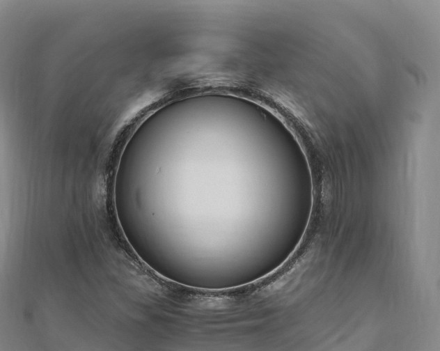 X0000110731309200906191518
