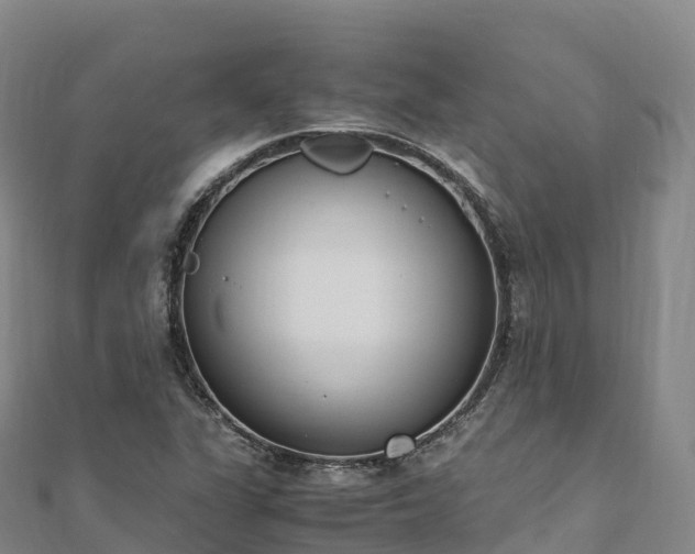 X0000110731311200906191518