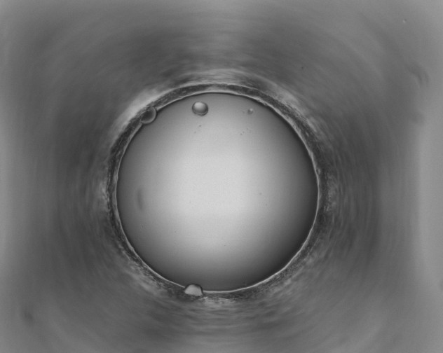 X0000110731312200906191518