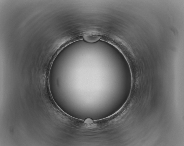 X0000110731313200906191518