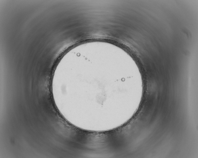 X0000110731314200906191518