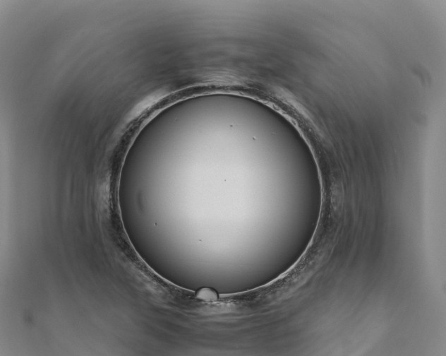 X0000110731315200906191518