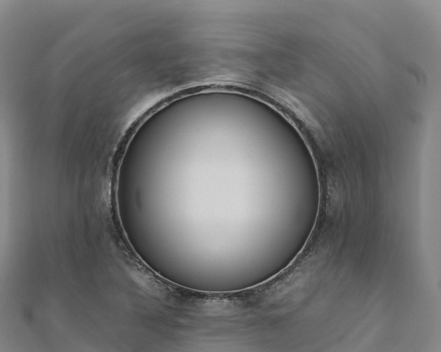X0000110731316200906191518