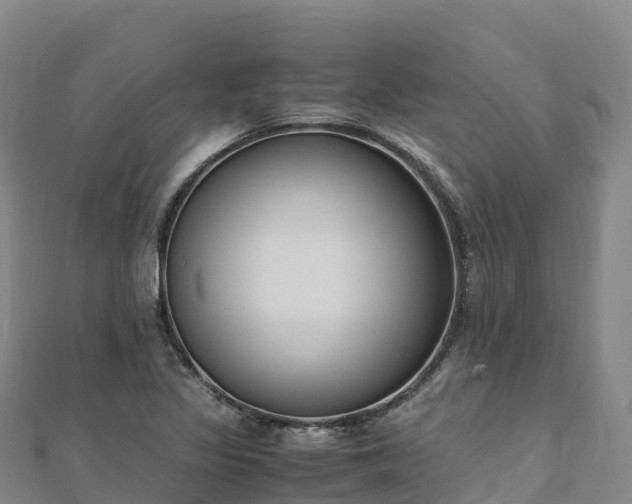 X0000110731317200906191518
