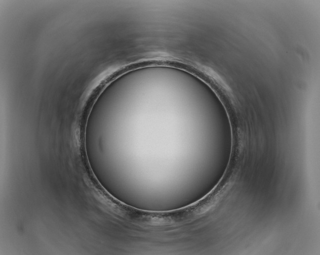 X0000110731318200906191518