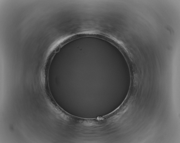 X0000110731319200906191518