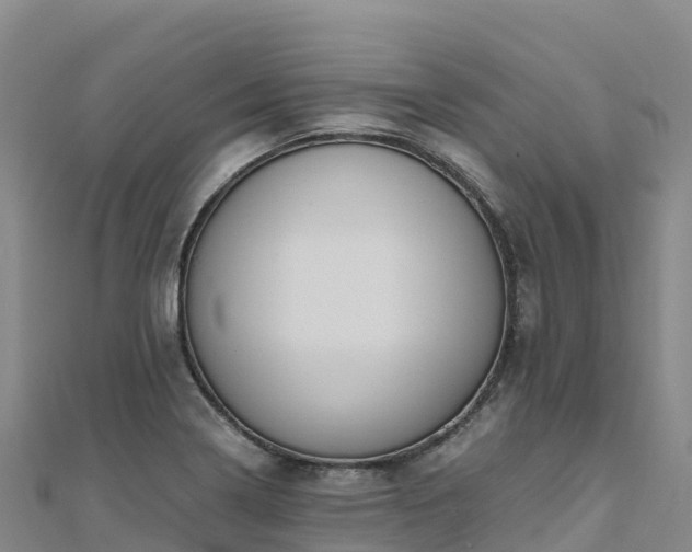 X0000110731322200906191518