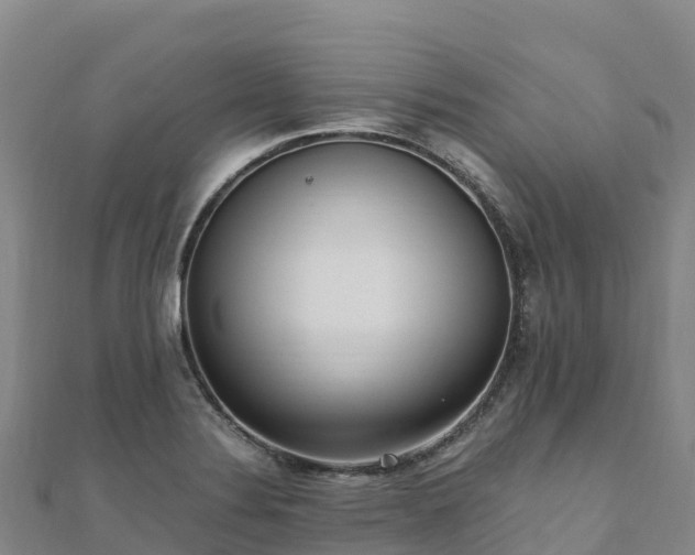 X0000110731324200906191518