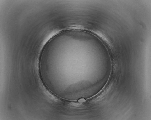X0000110731325200906191518