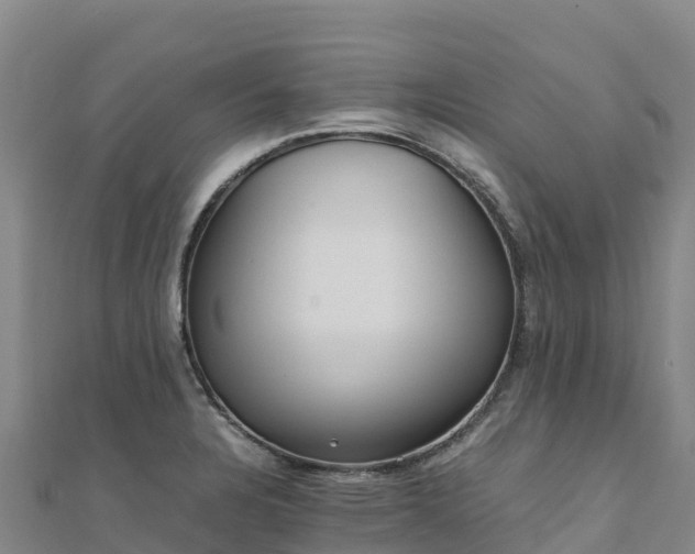 X0000110731328200906191518