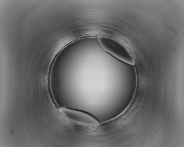 X0000110731330200906191518