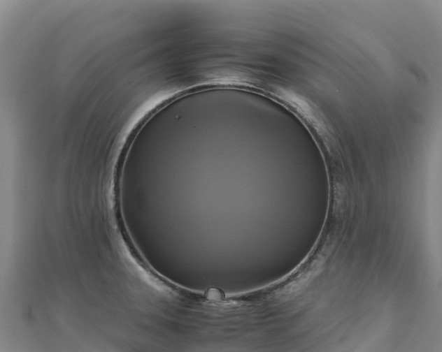 X0000110731331200906191518