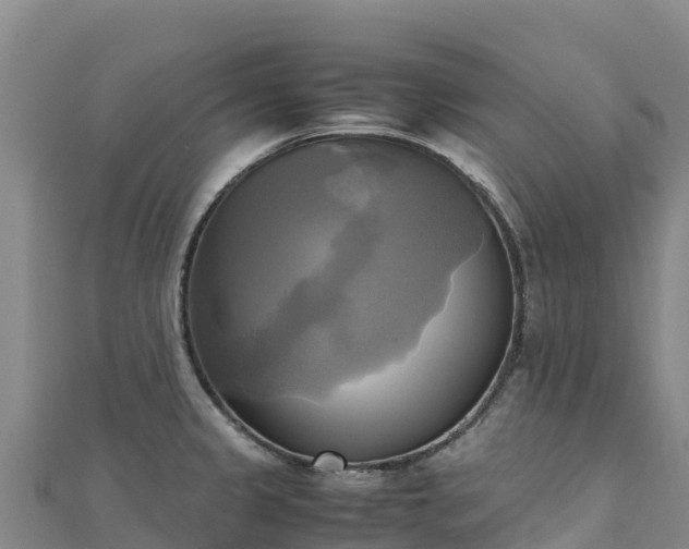 X0000110731333200906191518