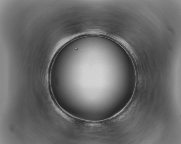 X0000110731335200906191518
