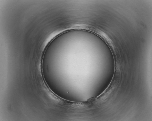 X0000110731336200906191518