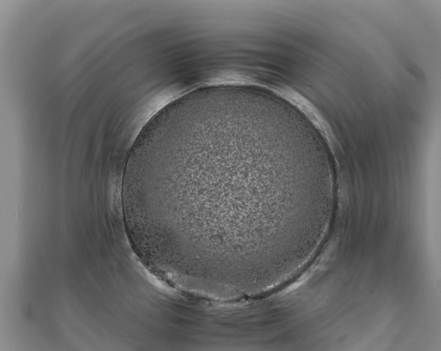 X0000110731337200906191518