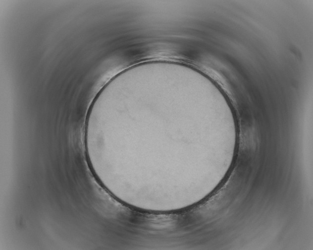 X0000110731338200906191518