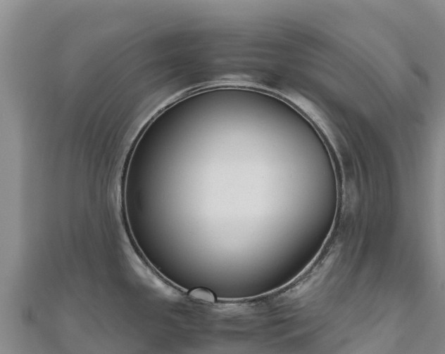 X0000110731341200906191518