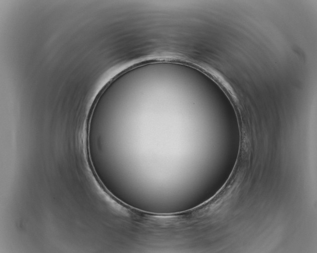 X0000110731343200906191518