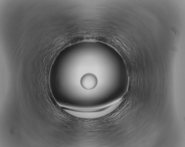 X0000110731345200906191518