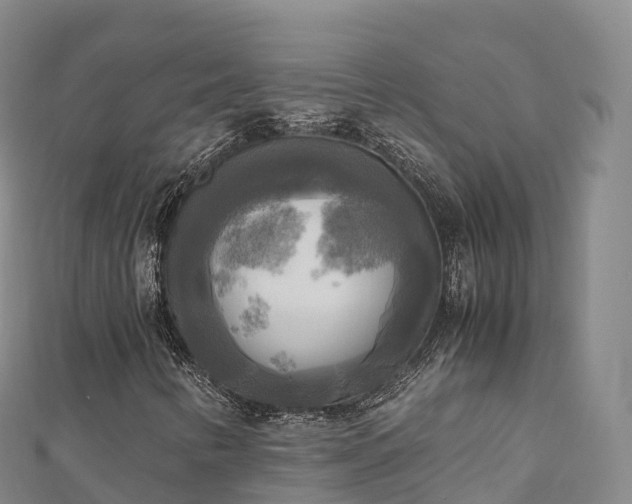 X0000110731346200906191518
