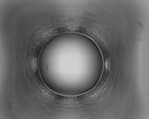 X0000110731347200906191518