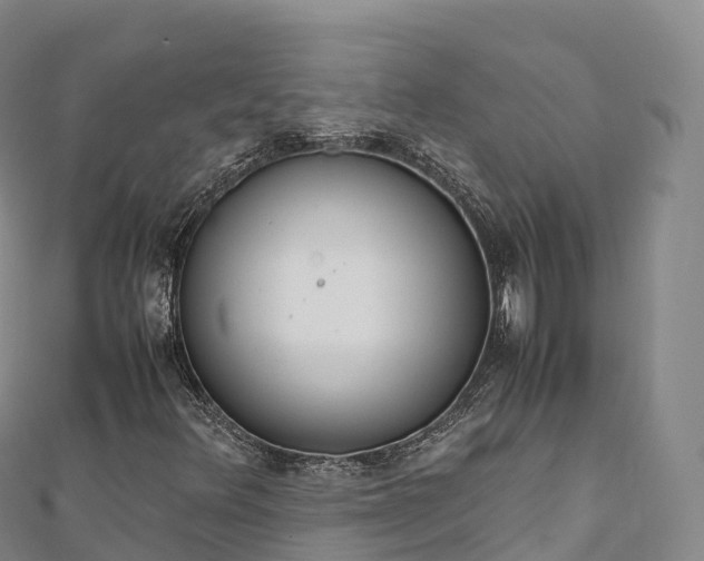 X0000110731348200906191518