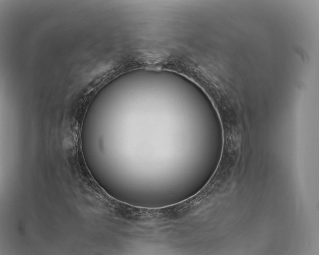 X0000110731349200906191518