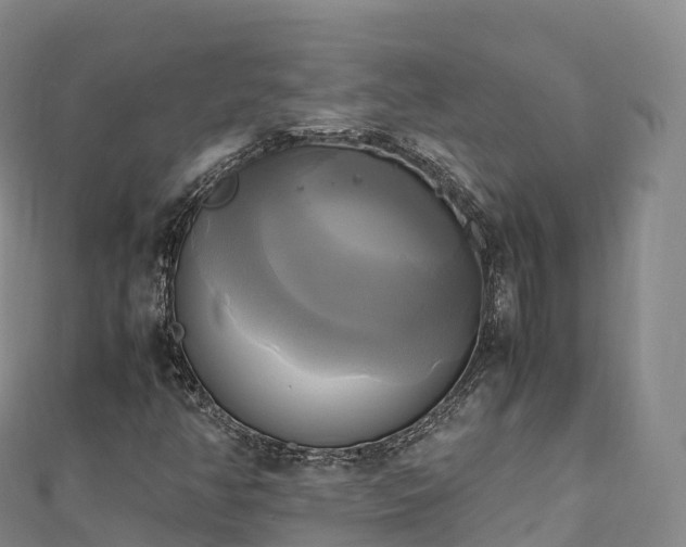 X0000110731350200906191518