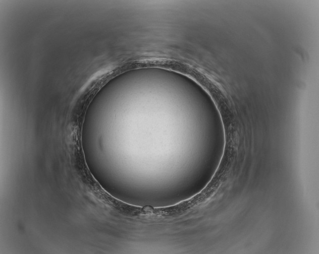 X0000110731351200906191518