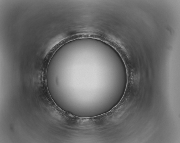 X0000110731352200906191518