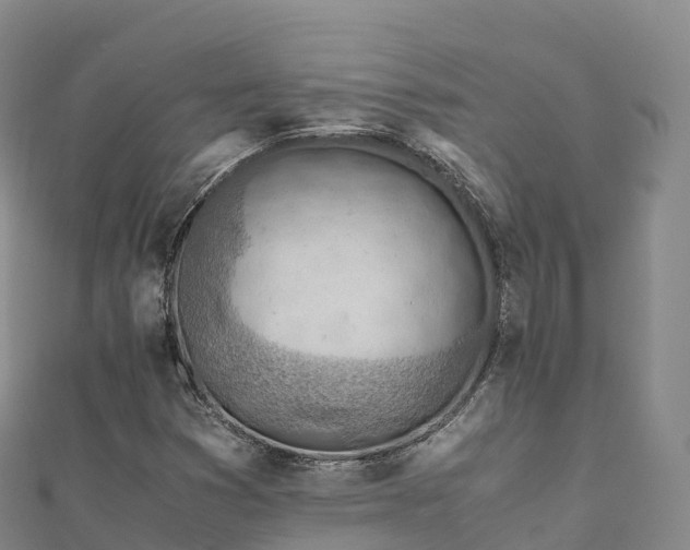 X0000110731353200906191518