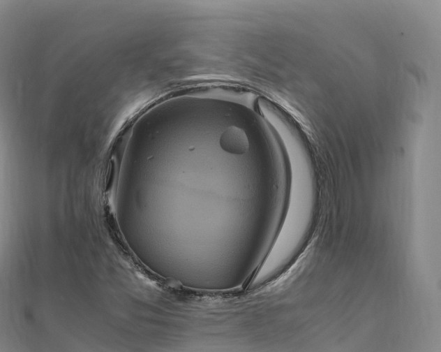 X0000110731357200906191518