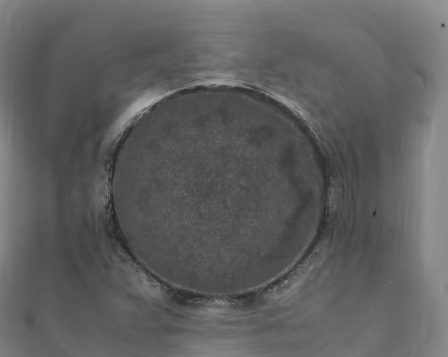 X0000110731359200906191517