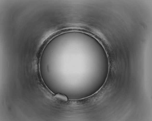 X0000110731360200906191517