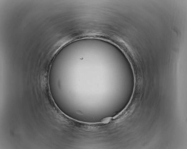 X0000110731361200906191517