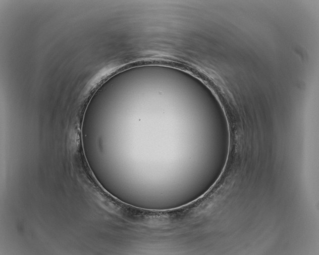 X0000110731363200906191517