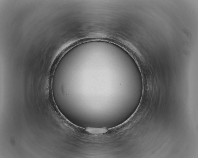 X0000110731364200906191517