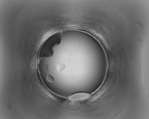 X0000110731365200906191517
