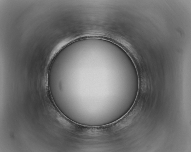 X0000110731366200906191517