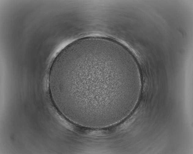 X0000110731367200906191517