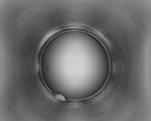 X0000110731368200906191517