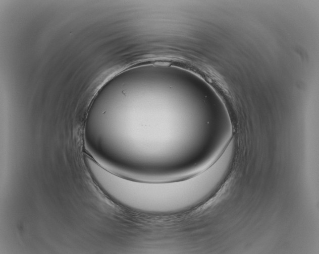 X0000110731369200906191517