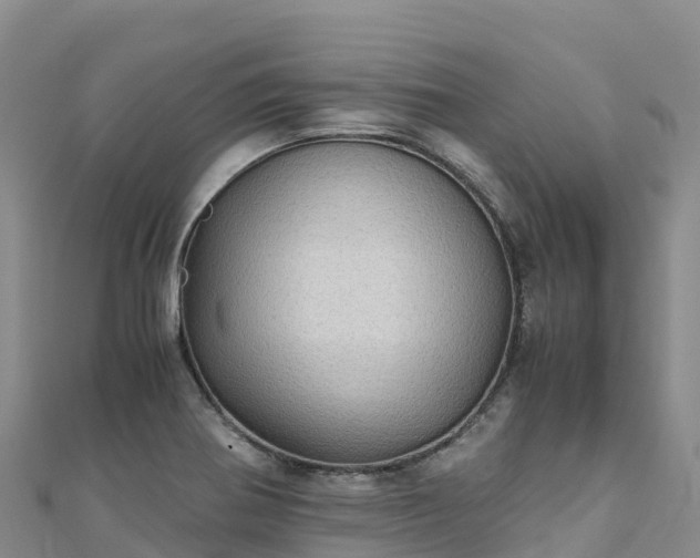 X0000110731370200906191517